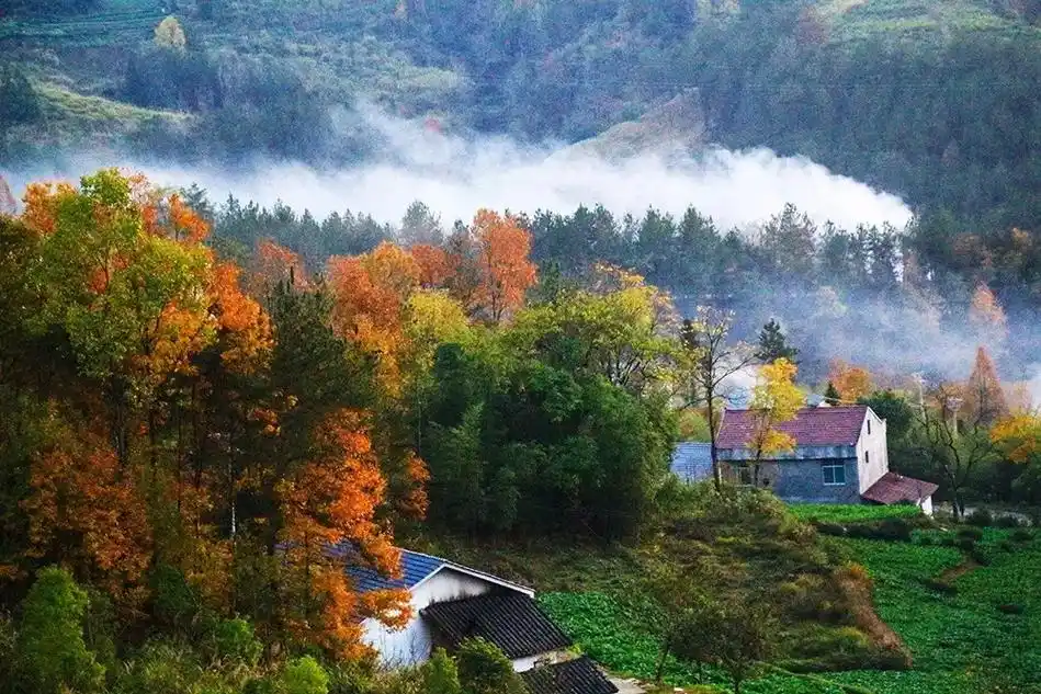 湖北竹溪安家沟,初冬美得像梵高笔下的油画.#一起享受大自然的 - 抖音