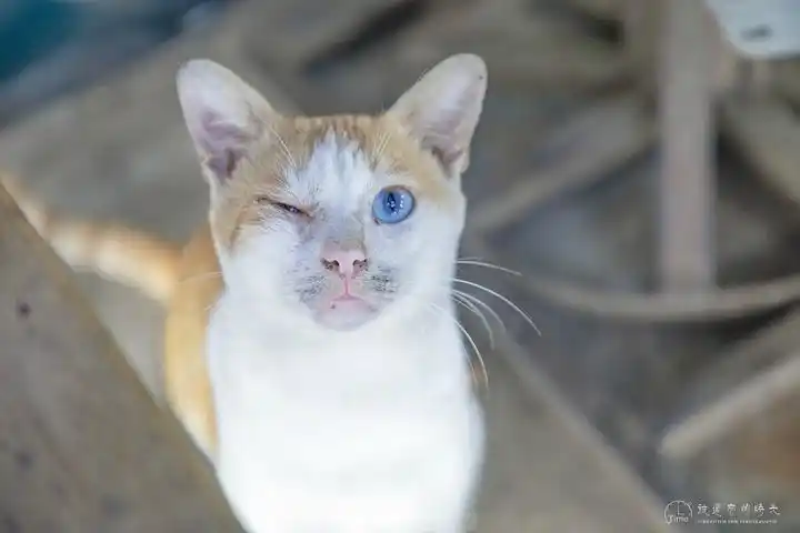 2022曼德勒游玩攻略,曼德勒交通/住宿/行程/美食/购物攻略,曼德勒注意