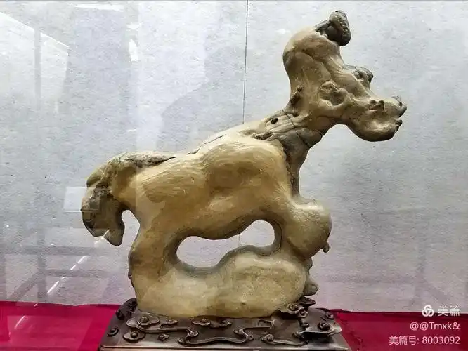 广东奇石展
