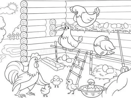 幼儿鸡舍简笔画