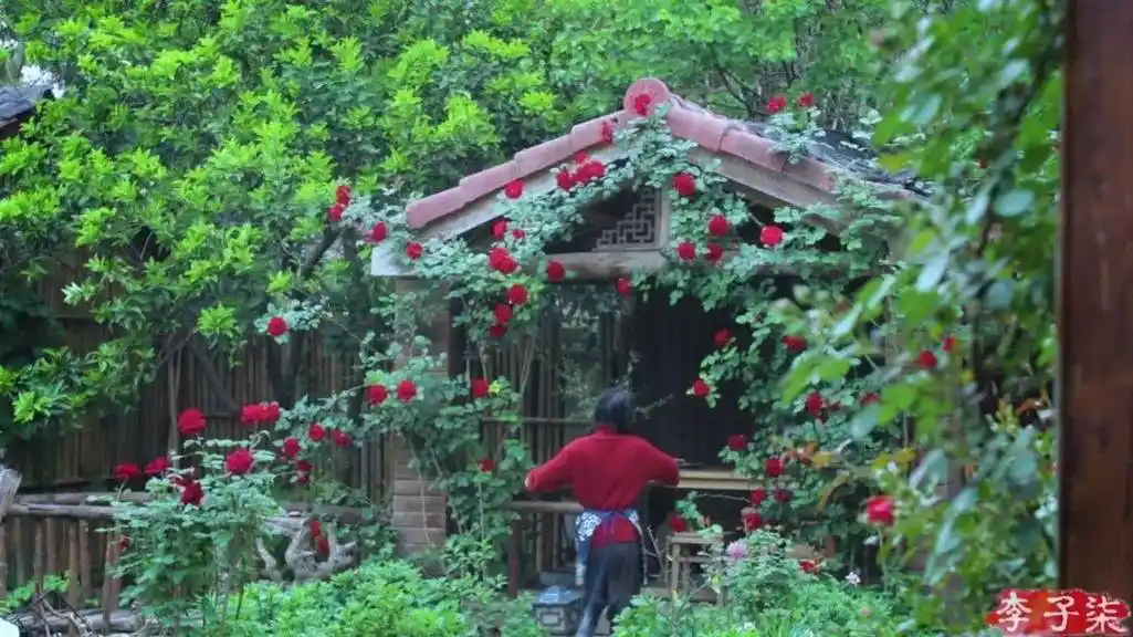 李子柒的院子里究竟有什么