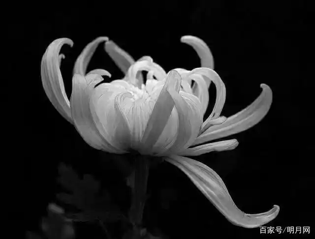 下葬时遇见雨雪天气好吗?-明月网