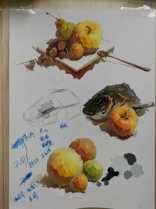 水粉静物各种组合画法结构分析