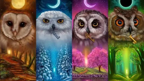 五颜六色的猫头鹰,四季,艺术图片