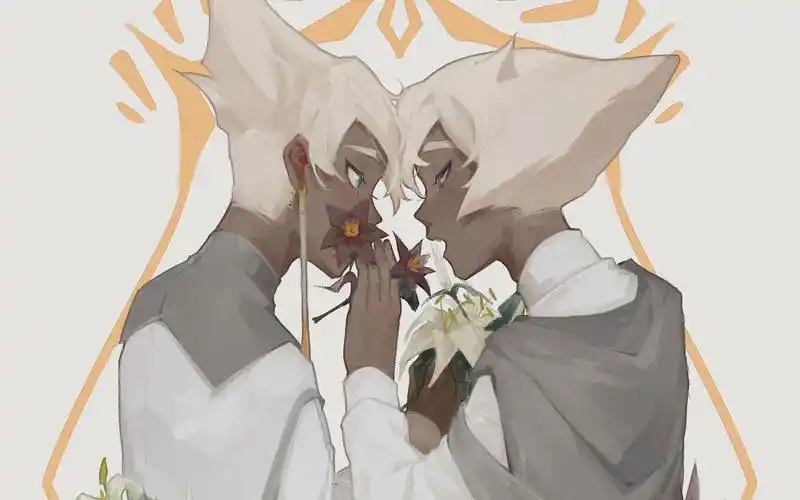 光遇菇卡48h企划pv