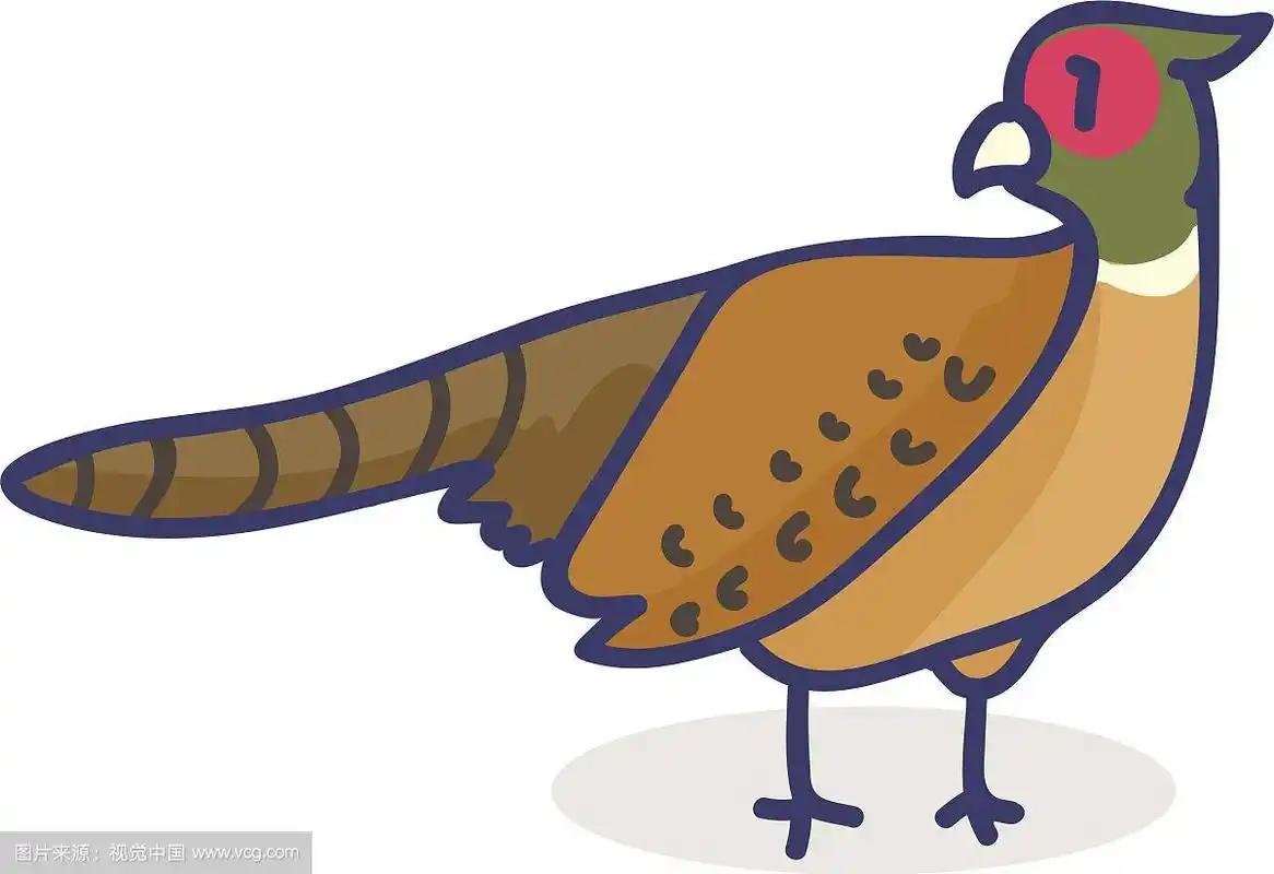 可爱的野鸡卡通图案