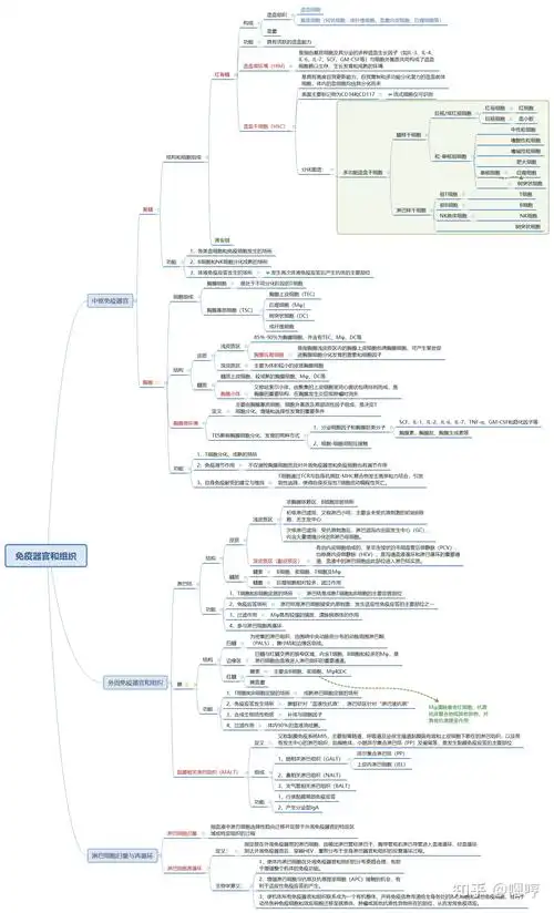 医学免疫学思维导图(二)