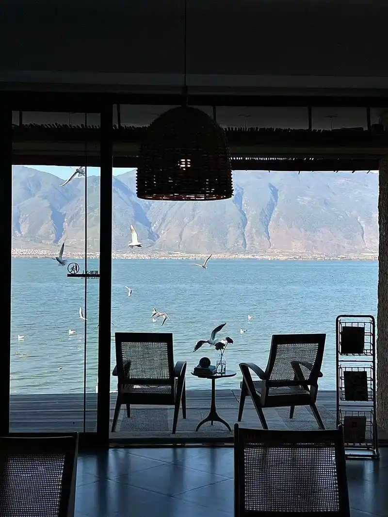 大理洱海宝藏民宿酒店,刚退房!值哭了! .这就是我如此爱大理 - 抖音