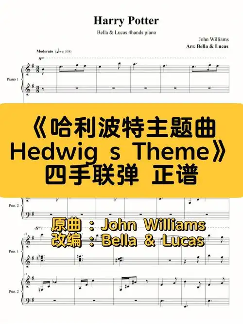 john williams改编 : bella & lucas#钢琴 #四手联弹 #哈迷 #霍格沃茨