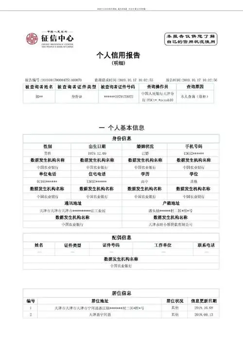 2020个人征信报告模板_【改革版】_含水印【包含借呗】.pdf-原创力文