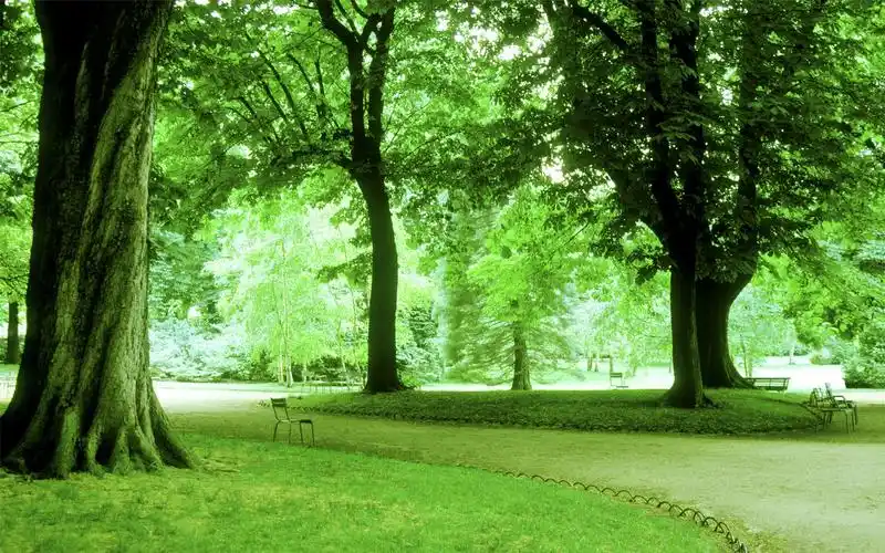 绿色护眼公园风光win7电脑桌面主题壁纸