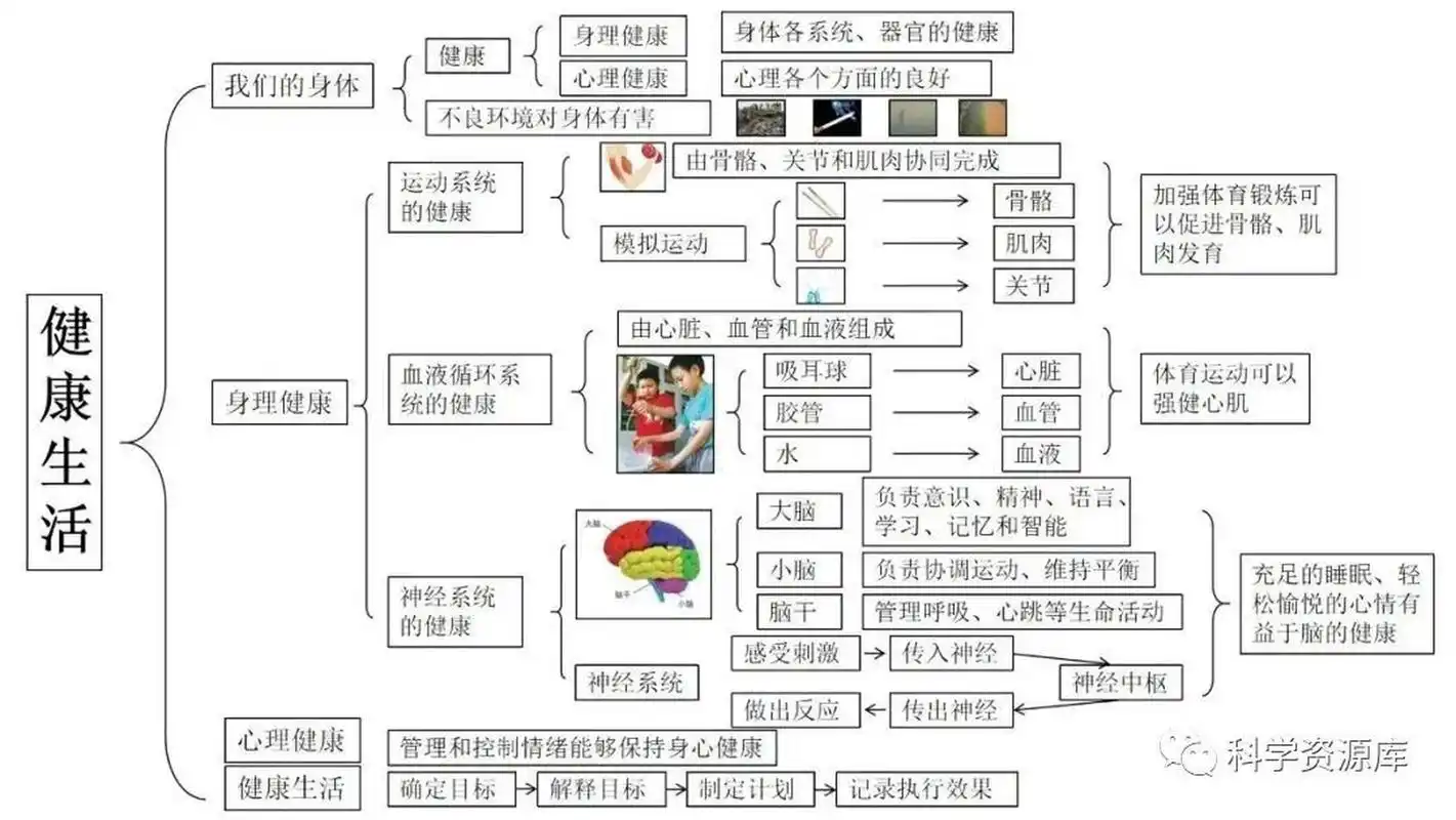 五年级科学 五上第四单元《健康生活》思维导图