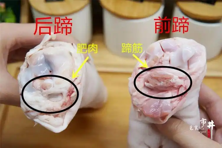 猪前蹄和猪后蹄在有什么差别?