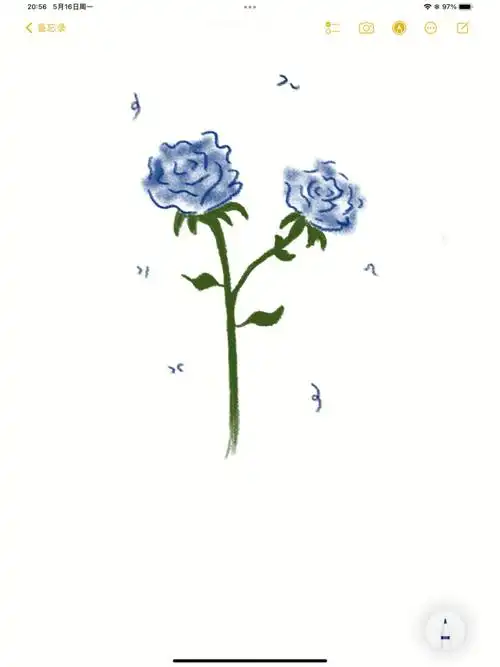 备忘录手绘玫瑰花