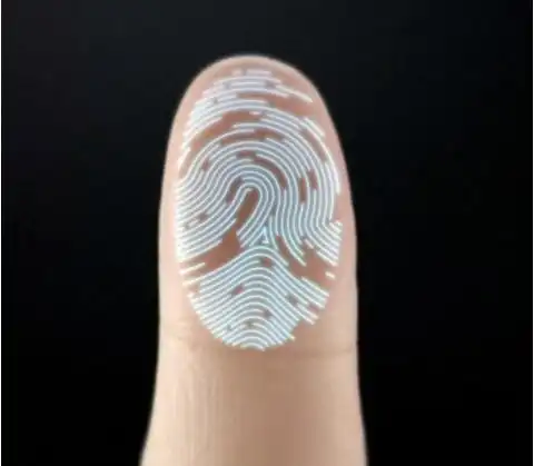 从指纹上斗箕数量看你的命运如何