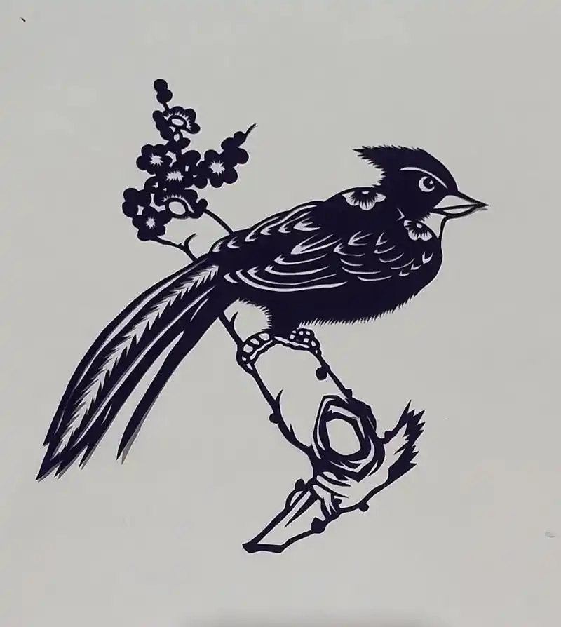 剪只鸟儿,谁能认识这是什么鸟? #非遗剪纸 - 抖音