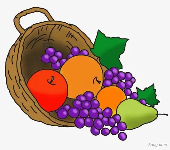 手绘一筐水果png素材透明免抠图片其他元素