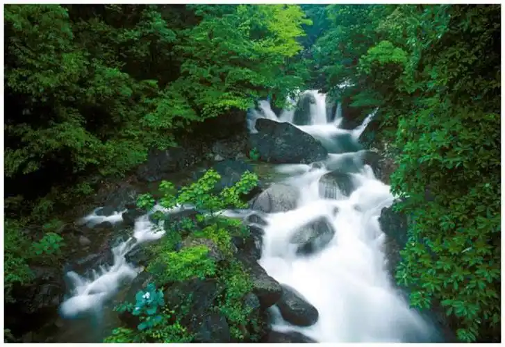 湖州市安吉藏龙百瀑景区