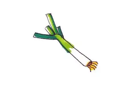 笔画线条线描简画黑白画卡通手绘标志图标【简笔画大葱】视频直播-yy