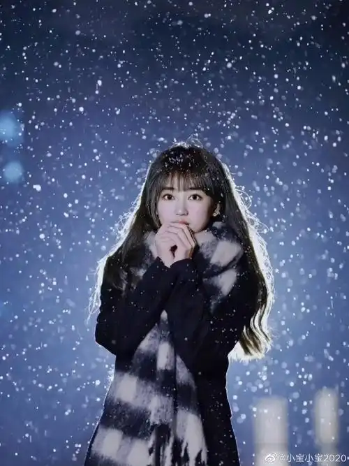 作为一个地道的北方人,今天教大家几招get√唯美意境的雪中