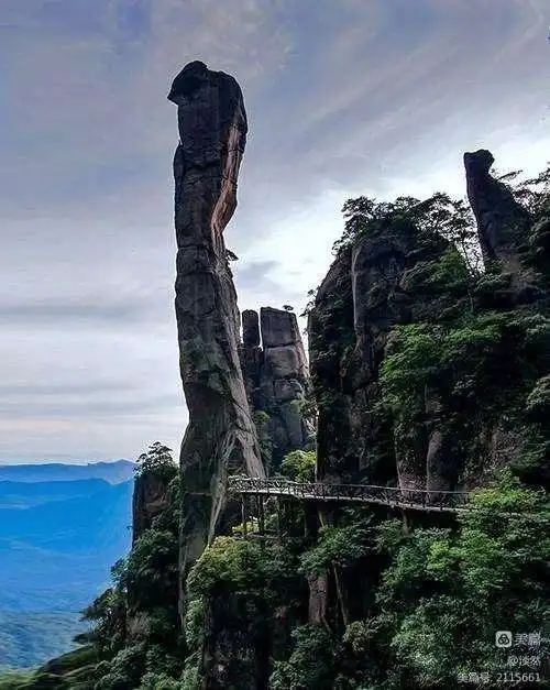 巨蟒出山:海拔高度约1200米处,为三清山标志性景观,三大绝景之一.