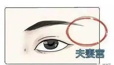 面相夫妻宫凹陷图片