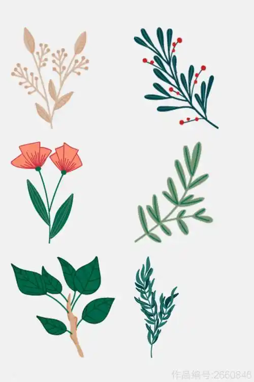 创意清新花卉植物插画免抠素材