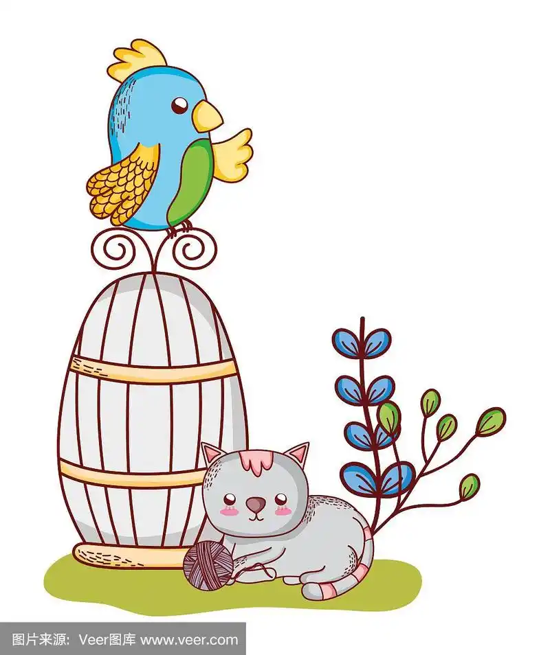 可爱的动物,鹦鹉笼上的猫与球自然卡通