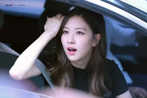 blackpink rose 朴彩英