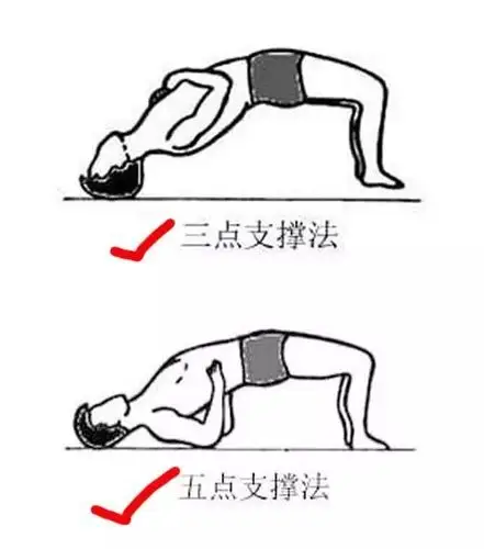 三点支撑或五点支撑法,能很好地锻炼到腰腿臀肌肉群,对腰背痛的恢复有