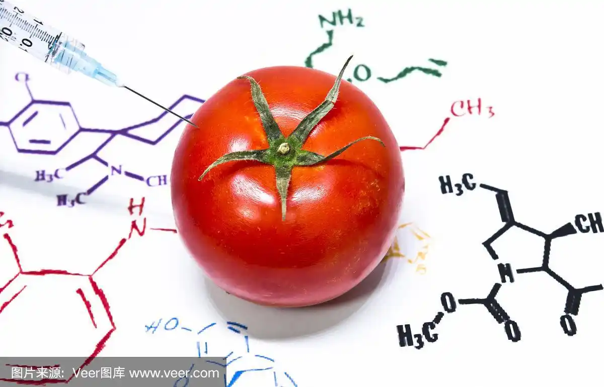 转基因番茄的化学结构配方背景.转基因作物的发展