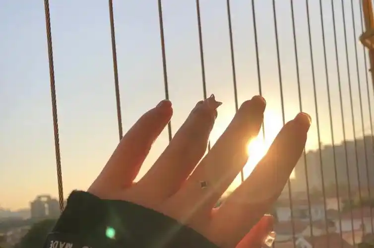 阳光透过手指唯美图片