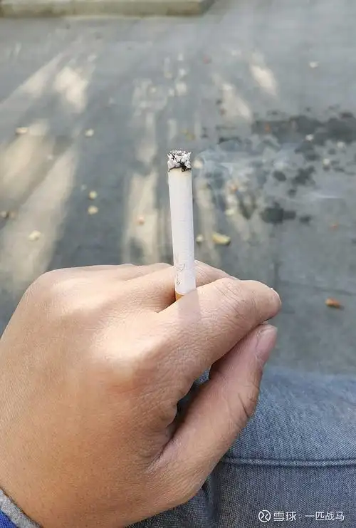 戒了10年烟的我,看了今天的基金情不自禁的点燃一支烟. - 雪球