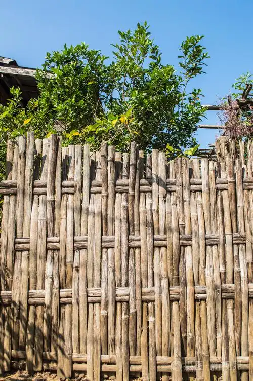 竹篱笆