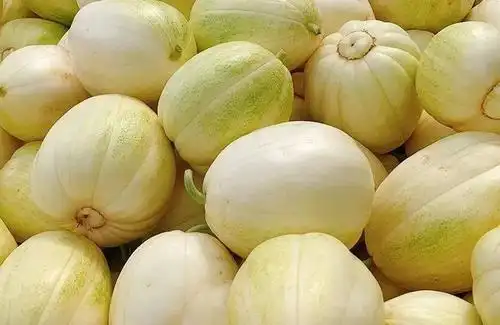 它才是这个夏天最值得吃的"瓜"_香瓜