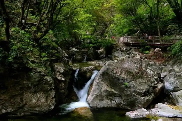 新闻活动_西安秦岭朱雀太平国家森林公园旅游发展有限公司
