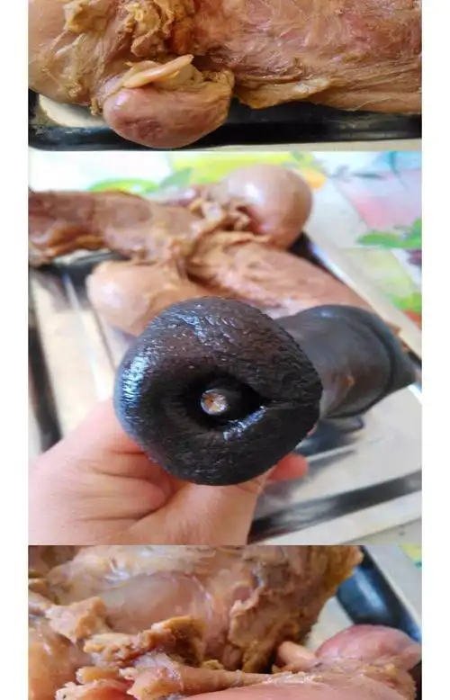 新鲜熟驴鞭带五香即食特大驴鞭整套男用泡酒金钱肉驴肉主打款五香带14