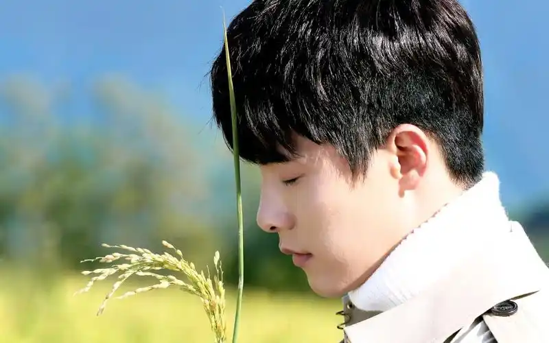 马天宇 - 堆糖,美图壁纸兴趣社区