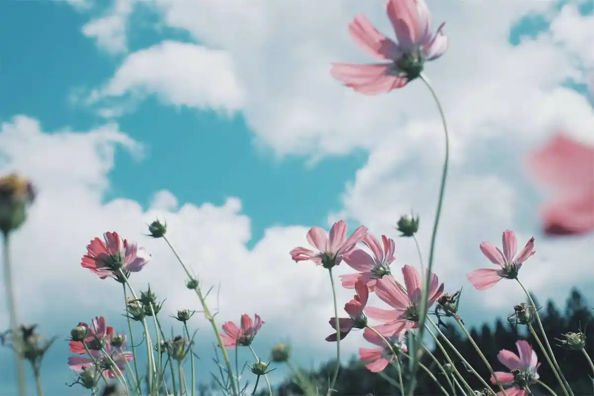 如何写出有价值的财务分析报告--信租财经