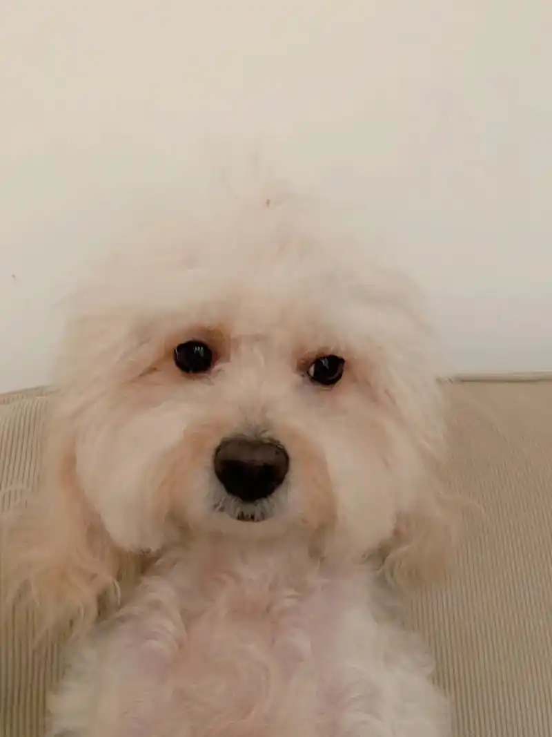 一脸不屑,二脸嫌弃08.面无表情,面如死灰,有点绝望但不多… - 抖音