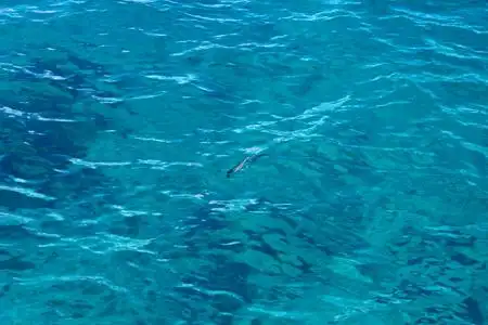 海水俯视图片-海水俯视素材-海水俯视插画-摄图新视界