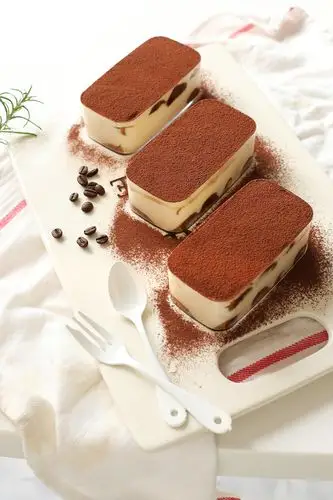 天然气小姐—ariel做的最好吃的提拉米苏蛋糕(一款软身版&二款硬身版)