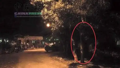 kampunglapan真的闹鬼oo好奇青年漏夜探闹鬼地点结果拍到白衣女鬼还有