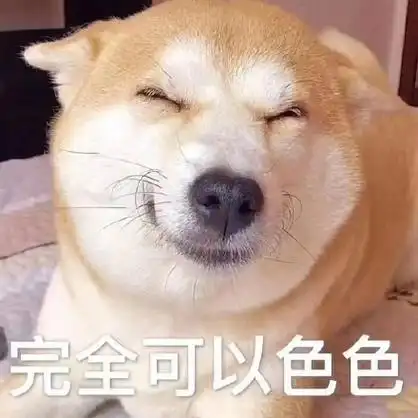 可爱的柴狗表情包