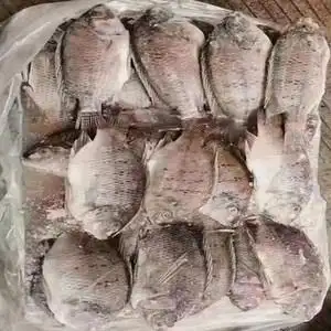 冷冻三去罗非鱼