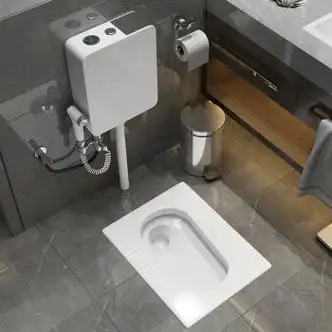 博弗森19cm蹲便器带存水弯家用臭蹲坑式冲水箱整套装陶瓷卫生间蹲便池