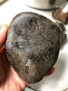 黑龙江天然牛角冻草花玉桫椤玉原石手把件雕刻料摆件416克