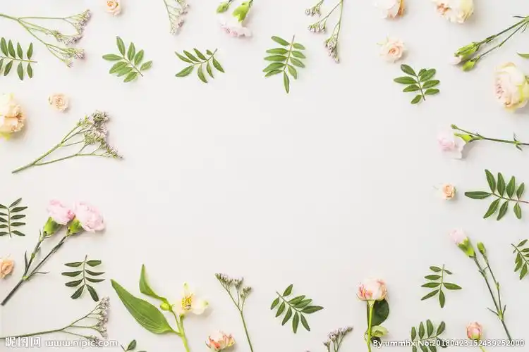 rgb40共享分×关 键 词:花 花瓣 花朵 花园 鲜花 花草 鲜花背景 清新