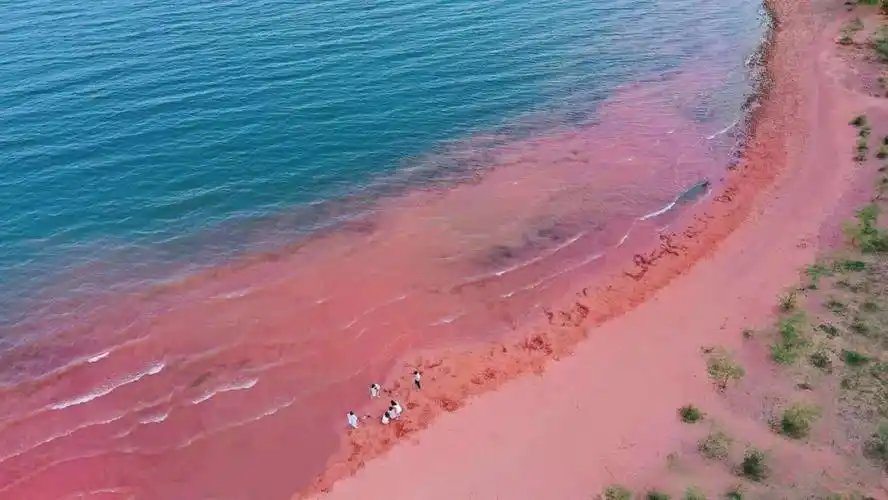 美得过分网友眼中的抚仙湖红沙滩