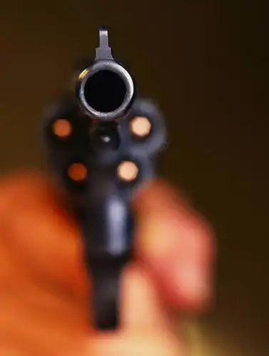 就是拿枪口对着屏幕.求啊.要做手机屏幕